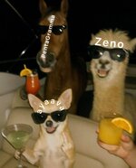 photo-output.jpeg