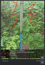 IMG_3778.jpeg