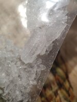 IMG_20250819_101848_901.jpg