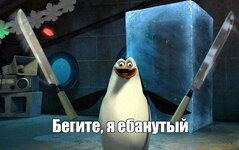 IMG_3994.jpeg