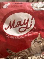 IMG_2930.jpeg