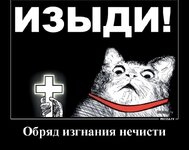 IMG_4012.jpeg