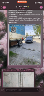 IMG_0269.png