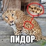 IMG_2775.jpeg