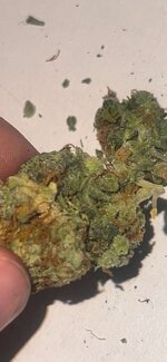 IMG_3174.jpeg