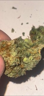 IMG_3177.jpeg