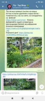 Screenshot_2025-08-23-03-31-28-457_org.telegram.messenger.jpg