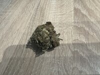 IMG_0671.jpeg