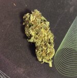 IMG_1893.jpeg