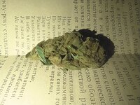 IMG_20250824_002635.jpg