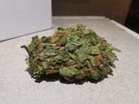 IMG_20250821_214032.jpg