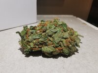IMG_20250821_214055.jpg