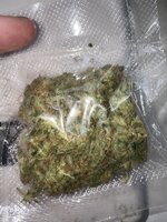 IMG_4666.jpeg
