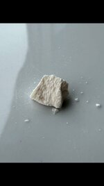 IMG_1203.jpeg