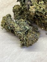 IMG_2655.jpeg
