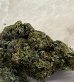 IMG_2653.jpeg