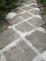 IMG_7899.jpeg