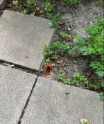 IMG_7913.jpeg