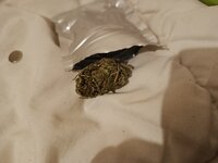 IMG_20250822_223423.jpg
