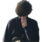 1756129804145.png