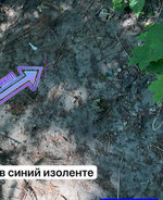 IMG_1513.jpeg