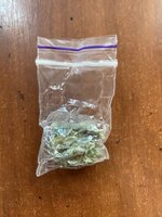 IMG_3702.jpeg