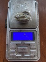 IMG_3703.jpeg