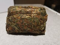 IMG_20250823_211802.jpg