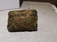 IMG_20250823_211849.jpg