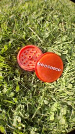 20250529_172411.jpg
