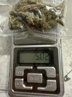 IMG_5822.jpeg