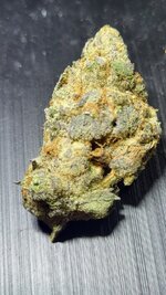 IMG_3830.jpeg