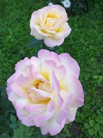 IMG_20220817_200743_792.jpg