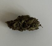 IMG_8395.jpeg