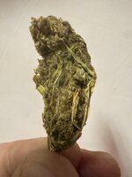 IMG_2965.jpeg