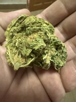 IMG_2961.jpeg