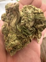 IMG_2963.jpeg