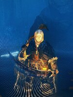 IMG_2870.jpeg