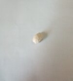 IMG_20250830_133520682.jpg