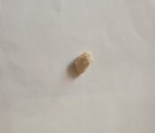 IMG_20250830_133514854.jpg