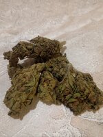IMG_6349.jpeg