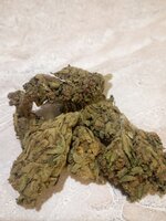 IMG_6348.jpeg