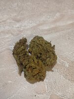 IMG_6347.jpeg