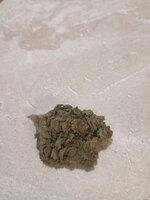 IMG_6346.jpeg