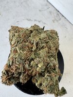 IMG_4939.jpeg