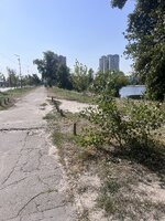 IMG_0424.jpeg