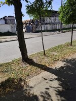 IMG_20250829_132849.jpg