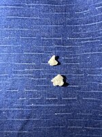 IMG_6899.jpeg