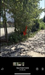 IMG_7470.jpeg