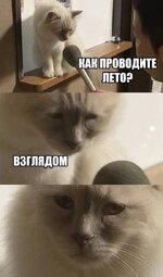IMG_20250830_143716_887.jpg